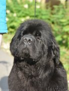 Превью фото № 245540