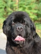 Превью фото № 245551