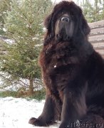 Превью фото № 245606