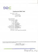 Превью фото № 245610