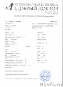 Превью фото № 245670