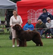 Превью фото № 245694