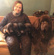 Превью фото № 245697