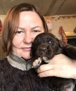 Превью фото № 245698