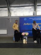 Превью фото № 245712