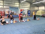 Превью фото № 245713