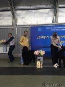 Превью фото № 245715