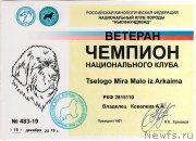 Превью фото № 245773