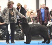 Превью фото № 245776