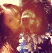 Превью фото № 245790