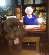 Превью фото № 245799