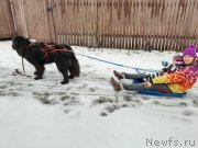 Превью фото № 245841