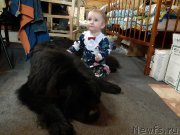 Превью фото № 245844