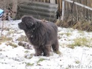 Превью фото № 245849