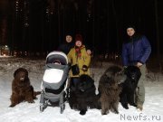 Превью фото № 245850