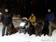 Превью фото № 245851