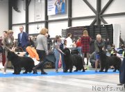 Превью фото № 245857