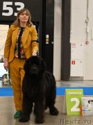 Превью фото № 245874