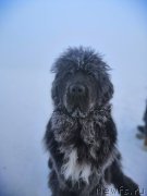 Превью фото № 245883