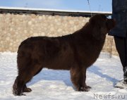 Превью фото № 245894