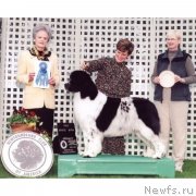 Превью фото № 245905