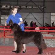 Превью фото № 245914