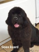 Превью фото № 245927