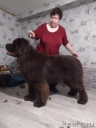 Превью фото № 245929