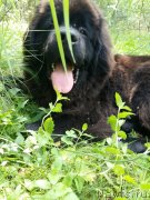 Превью фото № 245947