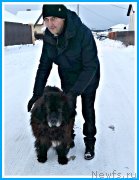 Превью фото № 245963