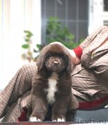 Превью фото № 245969