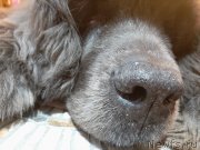 Превью фото № 245971