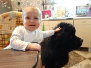 Превью фото № 246007