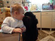 Превью фото № 246008