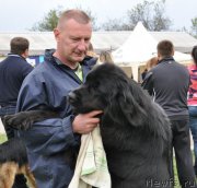 Превью фото № 246020