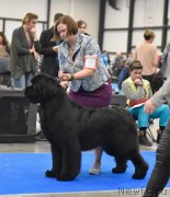 Превью фото № 246081