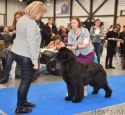 Превью фото № 246083