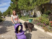 Превью фото № 246101