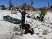 Превью фото № 246107