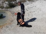 Превью фото № 246111