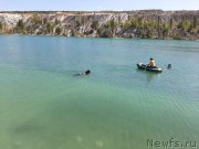 Превью фото № 246133