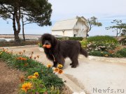 Превью фото № 246141