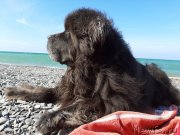 Превью фото № 246151