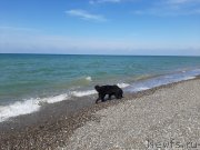 Превью фото № 246155