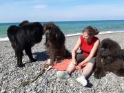 Превью фото № 246164