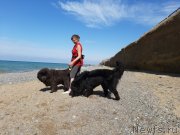 Превью фото № 246169