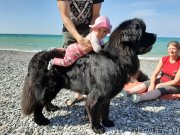 Превью фото № 246174