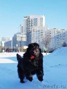 Превью фото № 246190