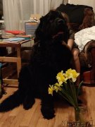 Превью фото № 246244