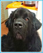 Превью фото № 246297